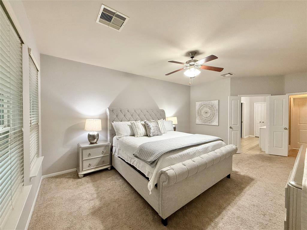 210 Black Swan Place, The Woodlands, Texas image 23