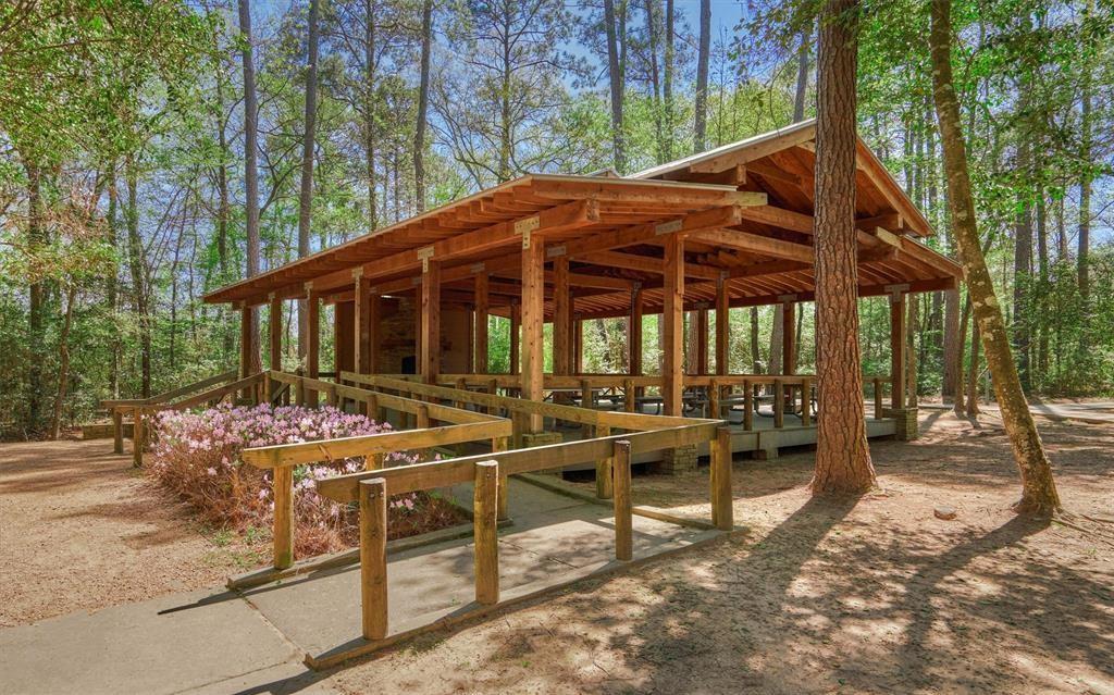 210 Black Swan Place, The Woodlands, Texas image 50