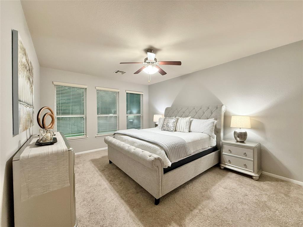 210 Black Swan Place, The Woodlands, Texas image 22