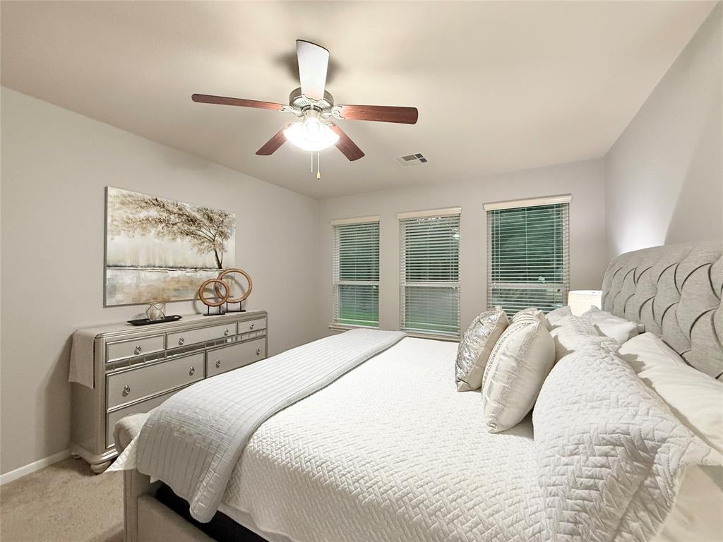 210 Black Swan Place, The Woodlands, Texas image 24