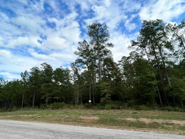 180 Remington Road, Huntsville, Texas image 7