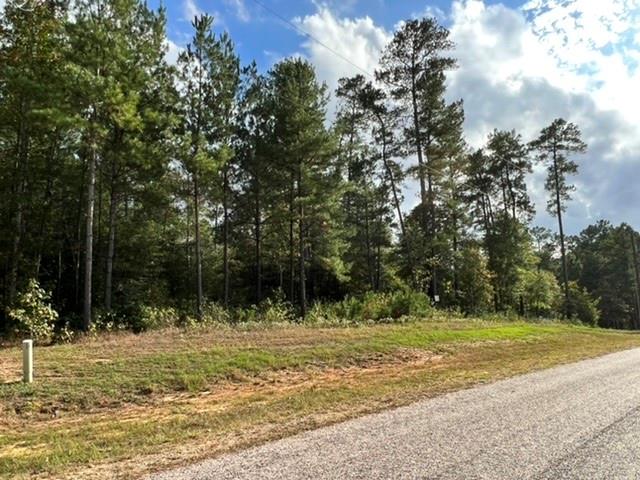 180 Remington Road, Huntsville, Texas image 9