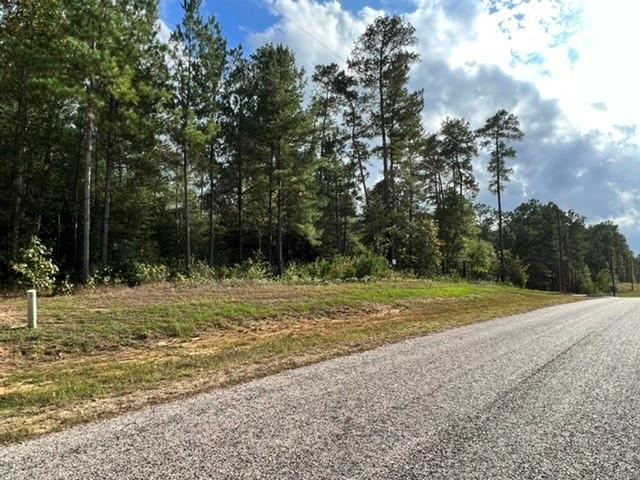180 Remington Road, Huntsville, Texas image 8