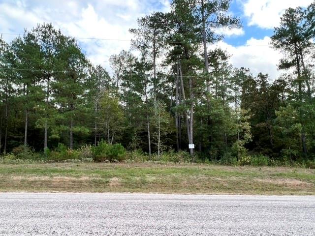 180 Remington Road, Huntsville, Texas image 4