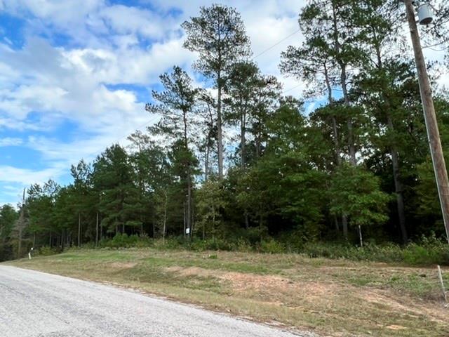 180 Remington Road, Huntsville, Texas image 6