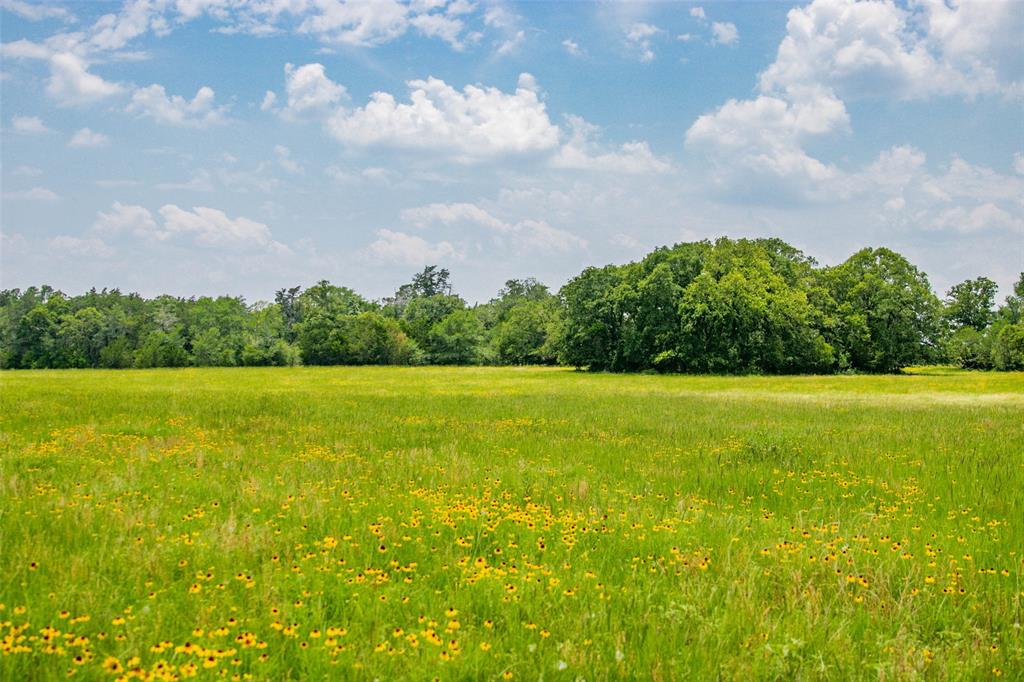 Lot 30 (5.41 Acres) Legacy Road, Somerville, Texas image 16