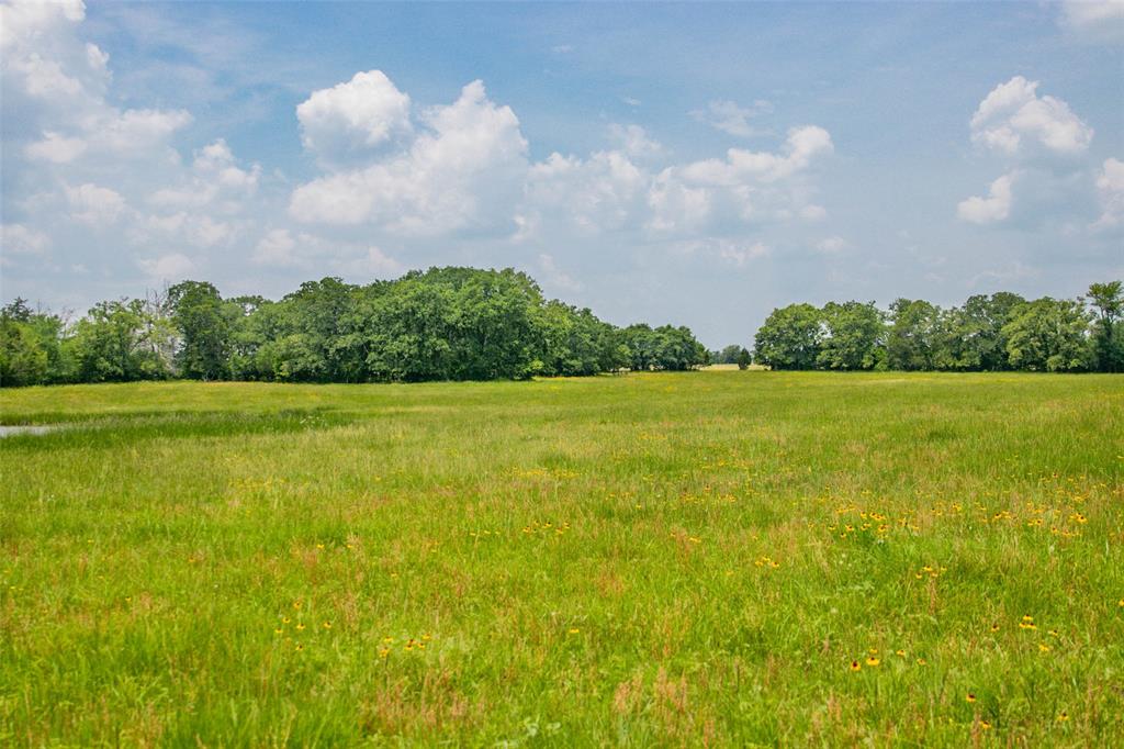 Lot 30 (5.41 Acres) Legacy Road, Somerville, Texas image 14