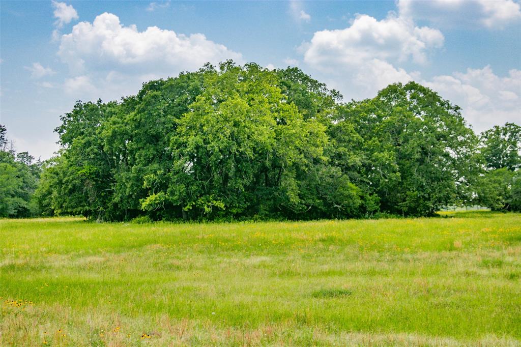 Lot 30 (5.41 Acres) Legacy Road, Somerville, Texas image 22