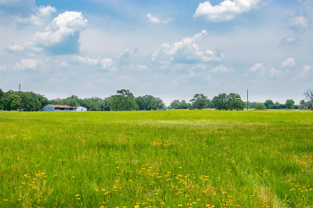 Lot 30 (5.41 Acres) Legacy Road, Somerville, Texas image 3