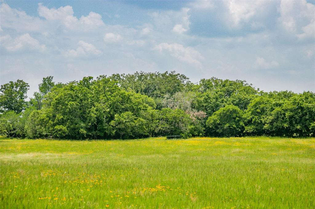 Lot 30 (5.41 Acres) Legacy Road, Somerville, Texas image 18