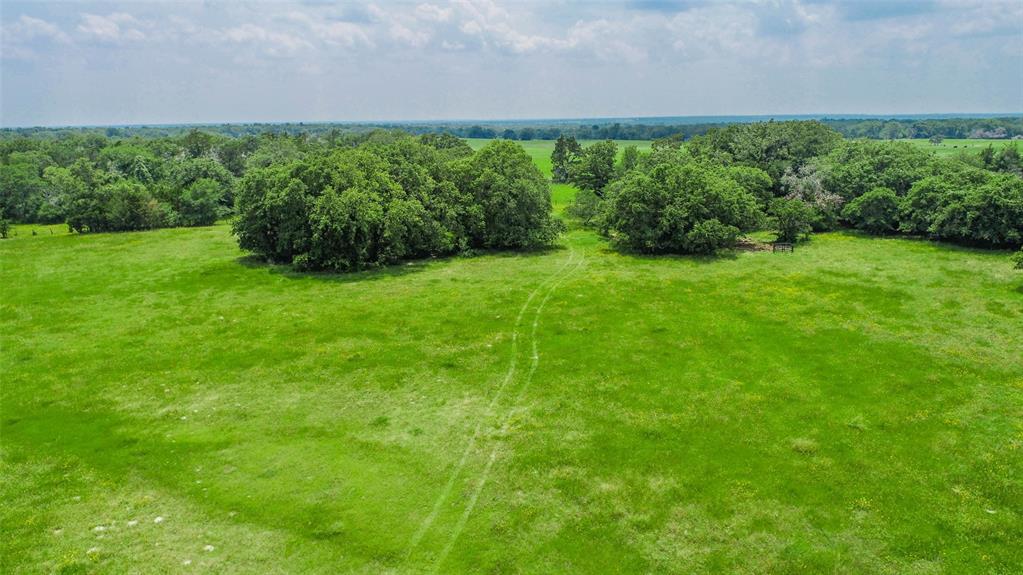 Lot 30 (5.41 Acres) Legacy Road, Somerville, Texas image 4