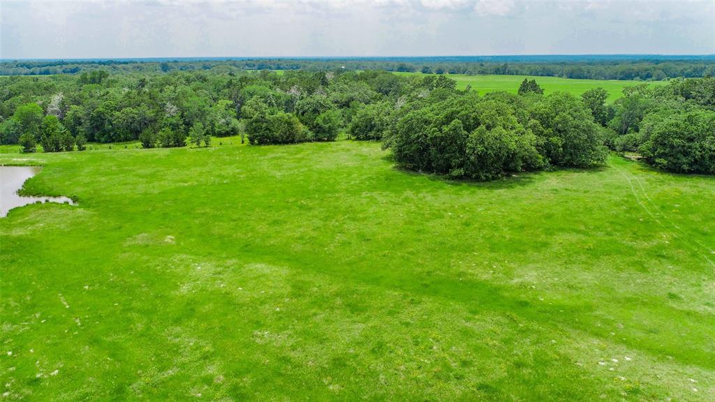 Lot 30 (5.41 Acres) Legacy Road, Somerville, Texas image 11