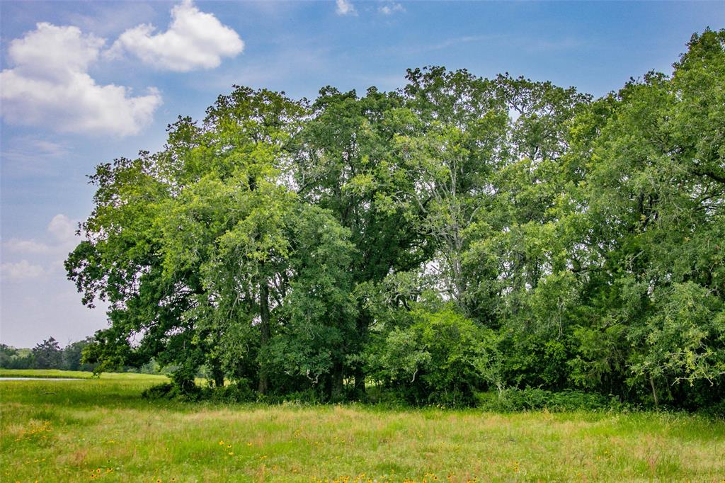 Lot 30 (5.41 Acres) Legacy Road, Somerville, Texas image 8