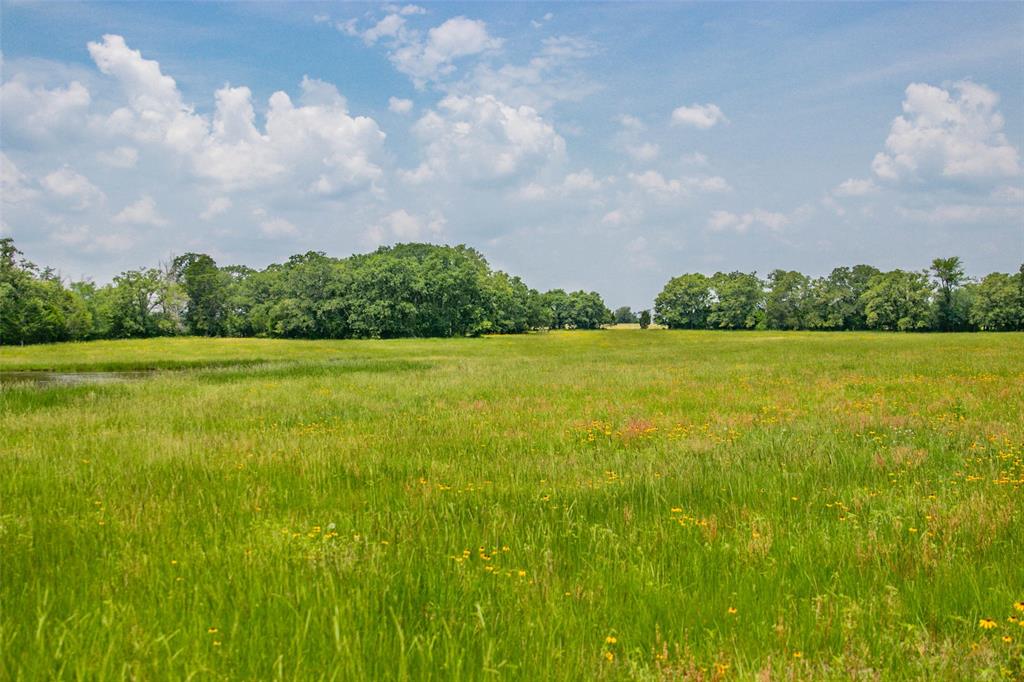 Lot 30 (5.41 Acres) Legacy Road, Somerville, Texas image 13