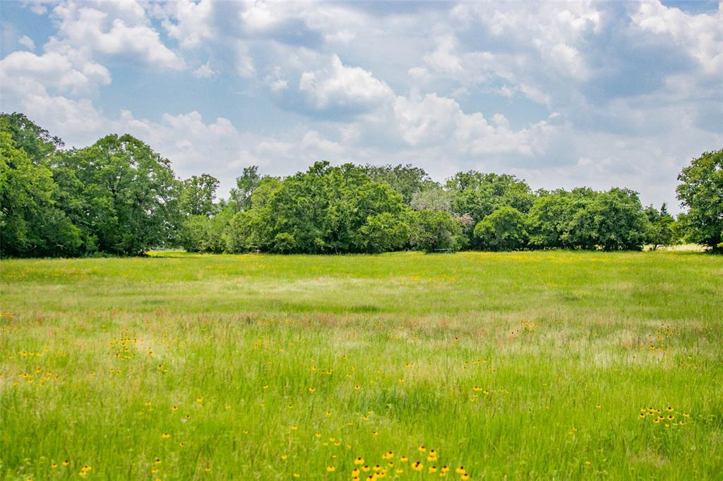 Lot 30 (5.41 Acres) Legacy Road, Somerville, Texas image 20