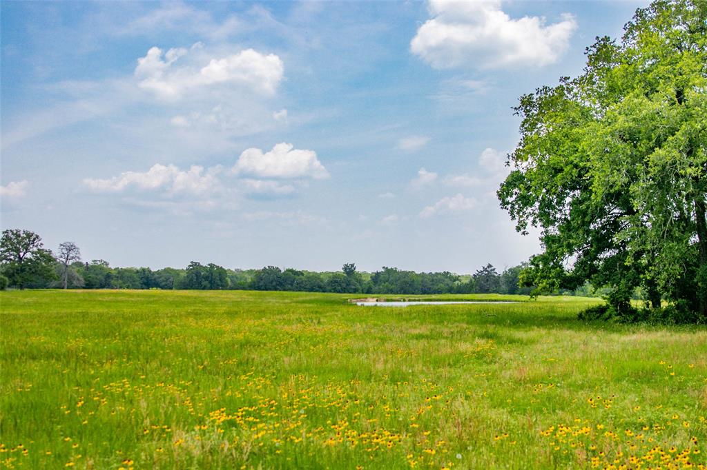 Lot 30 (5.41 Acres) Legacy Road, Somerville, Texas image 1