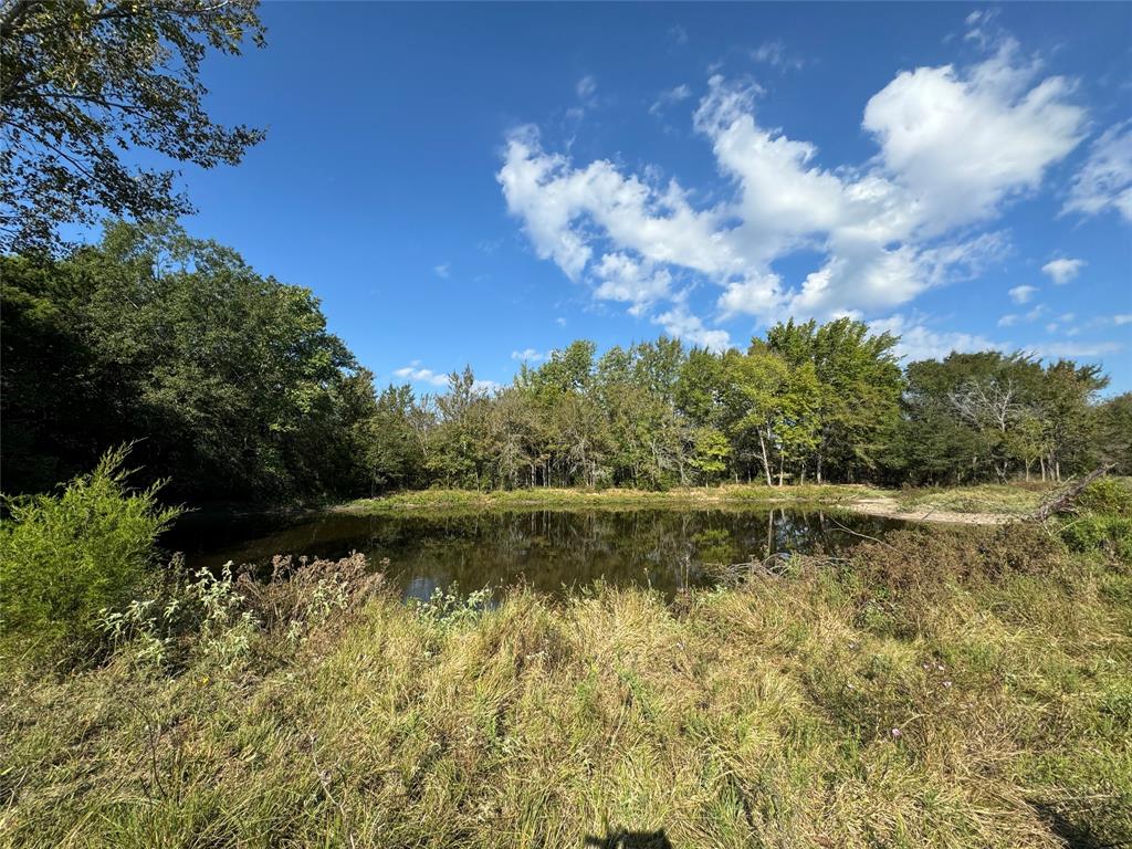 261 Co Road 181 Road, Streetman, Texas image 4