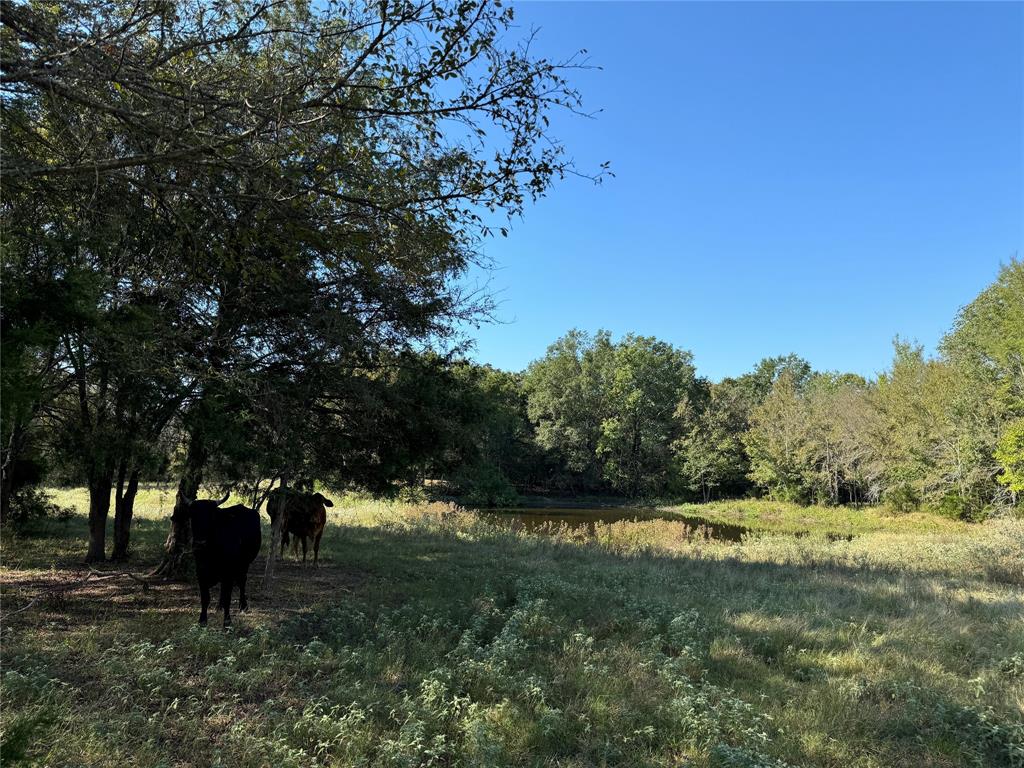 261 Co Road 181 Road, Streetman, Texas image 7