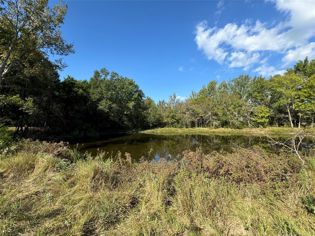 261 Co Road 181 Road, Streetman, Texas image 6