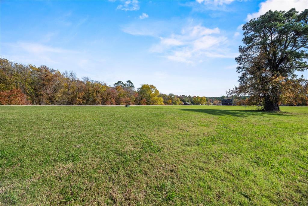 60 Wildwood Lake Drive, Huntsville, Texas image 8