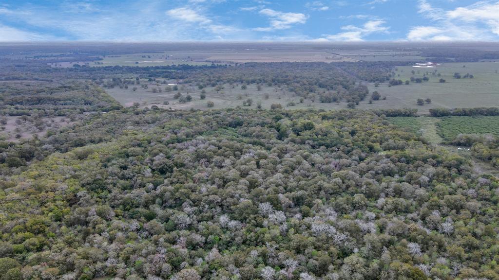 Mangum Road, Hungerford, Texas image 10