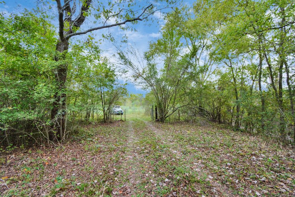 Mangum Road, Hungerford, Texas image 37