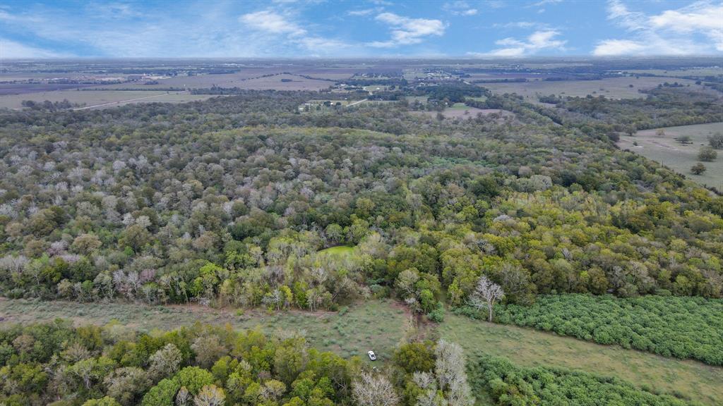 Mangum Road, Hungerford, Texas image 5