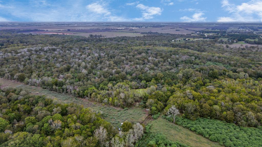 Mangum Road, Hungerford, Texas image 7