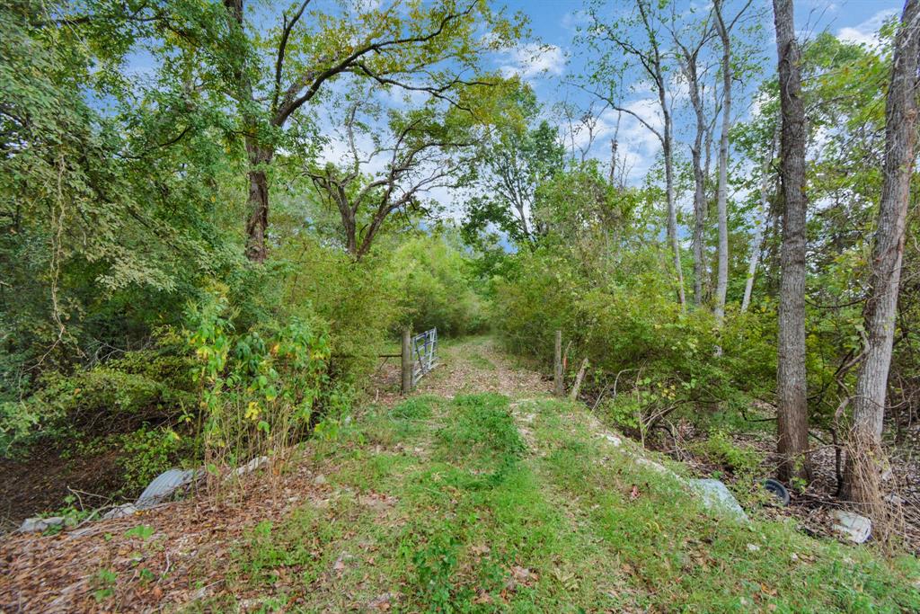 Mangum Road, Hungerford, Texas image 40