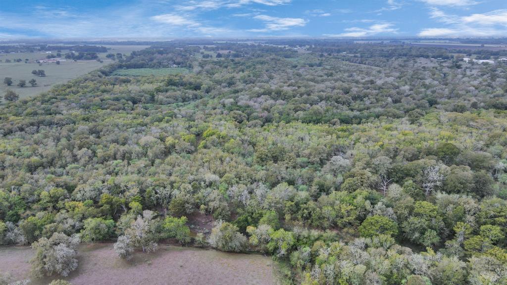 Mangum Road, Hungerford, Texas image 16