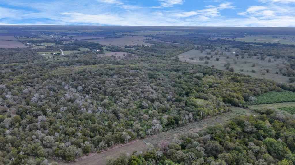 Mangum Road, Hungerford, Texas image 12