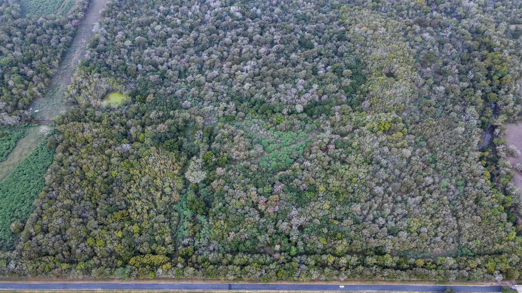 Mangum Road, Hungerford, Texas image 18