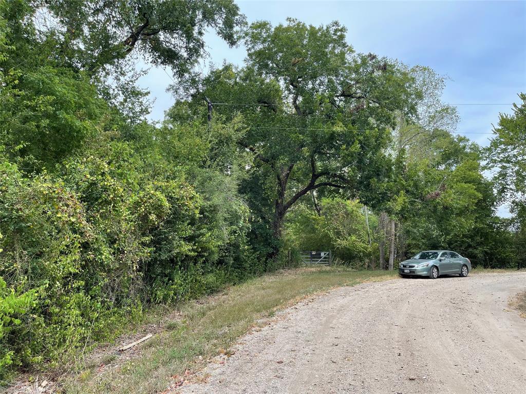 Mangum Road, Hungerford, Texas image 2