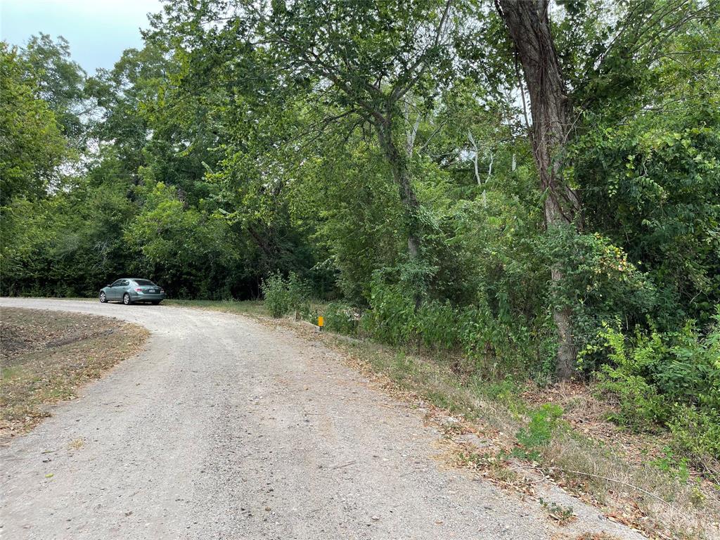 Mangum Road, Hungerford, Texas image 3