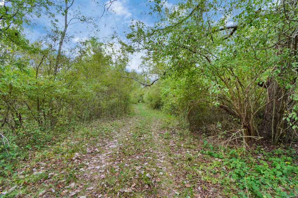 Mangum Road, Hungerford, Texas image 38