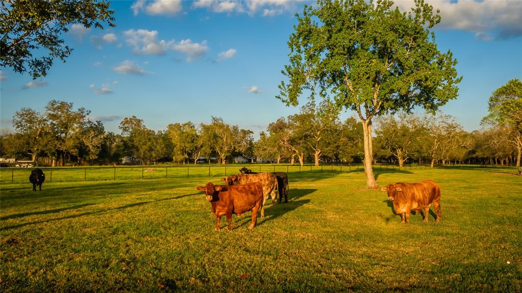 3150 Holmes Road, Richmond, Texas image 7