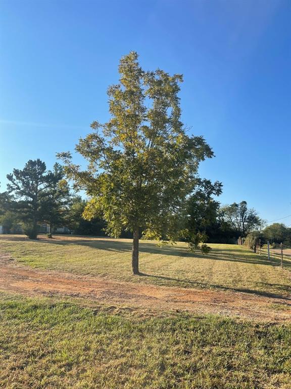 696 Lovers Lane, Alto, Texas image 9