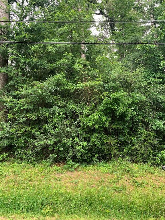 TBD Birch Street, Montgomery, Texas image 1