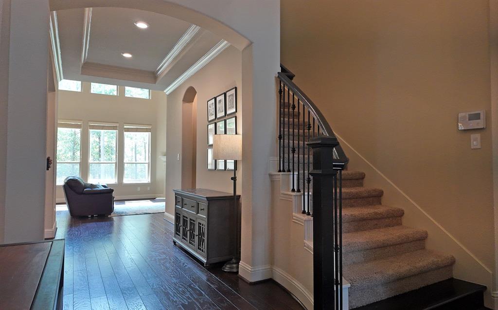 31297 New Forest Park Lane, Spring, Texas image 5
