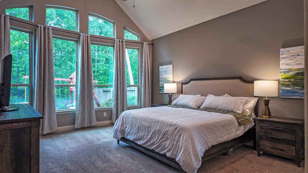 31297 New Forest Park Lane, Spring, Texas image 12