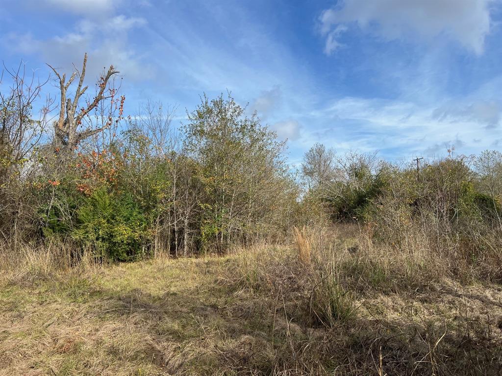 4 Ac Cr 348, Jewett, Texas image 9