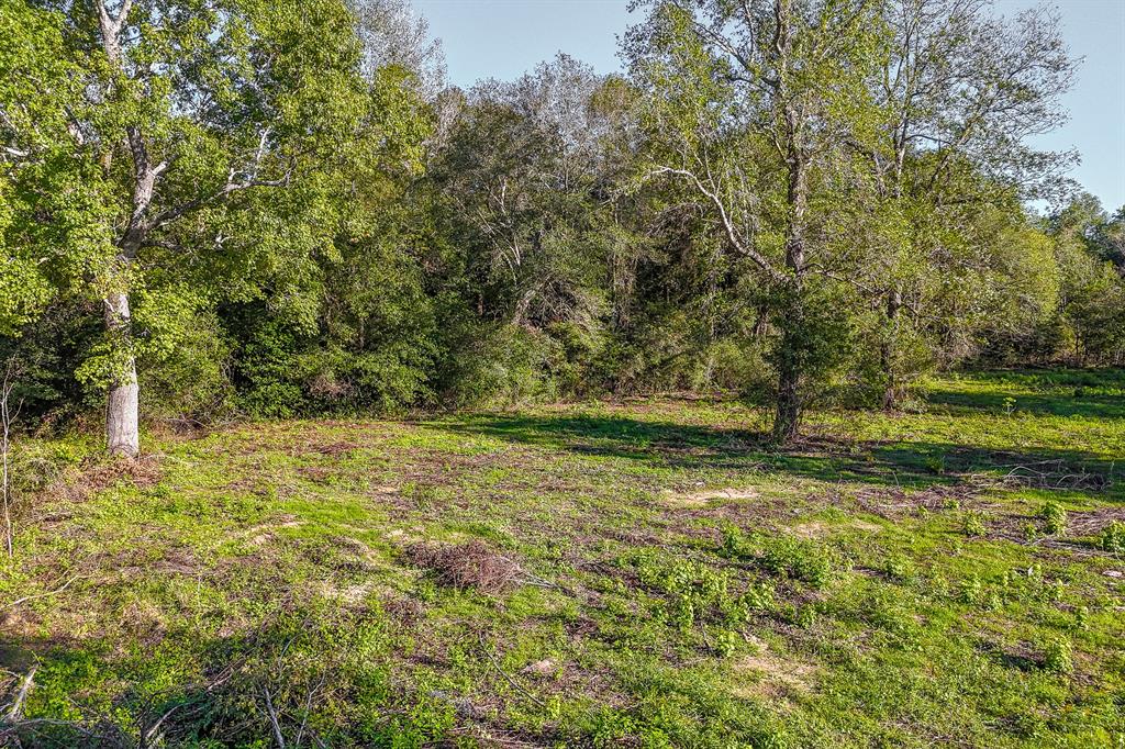 1157 County Road 143, Liberty, Texas image 35