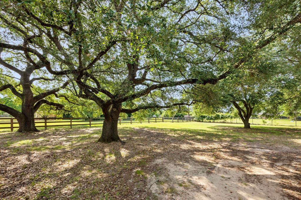 13415 Bayonne Circle, Tomball, Texas image 28