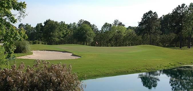 Bentwood Oaks Drive, Porter, Texas image 10