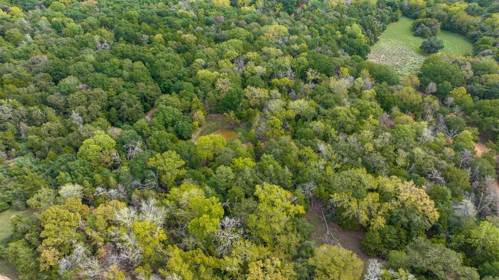 TBD Dungens Mill Rd, Columbus, Texas image 3