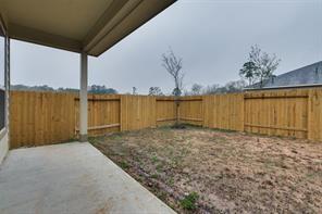 22002 Oia Island Drive, Hockley, Texas image 40