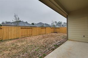 22002 Oia Island Drive, Hockley, Texas image 42