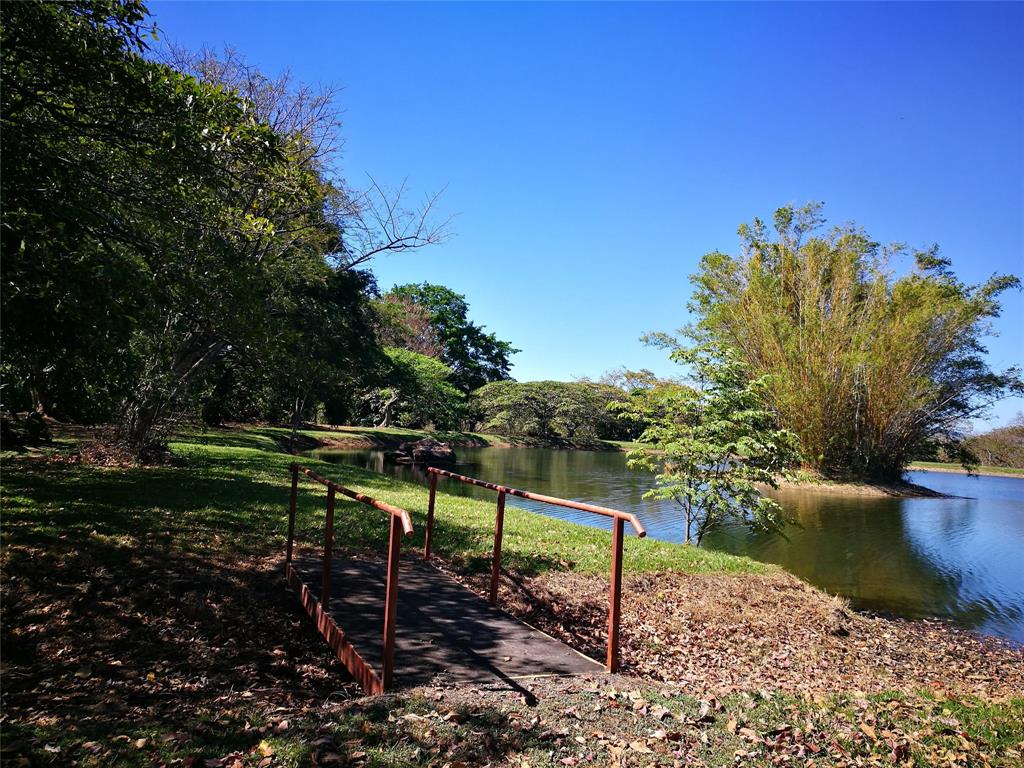 123 Llanos Del Coyol, , Georgia image 36