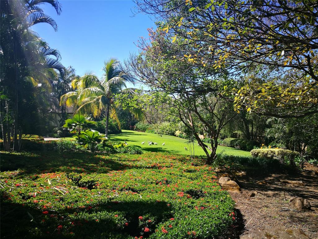 123 Llanos Del Coyol, , Georgia image 40