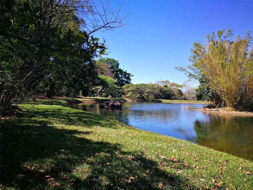 123 Llanos Del Coyol, , Georgia image 37